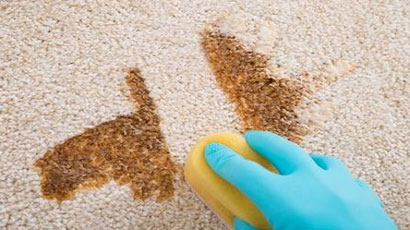 Carpet Cleaning Repair